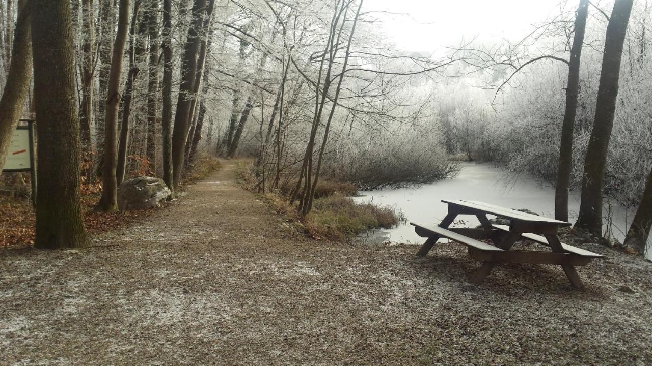 Ferienwohnung Krottensee Gmunden Extérieur photo