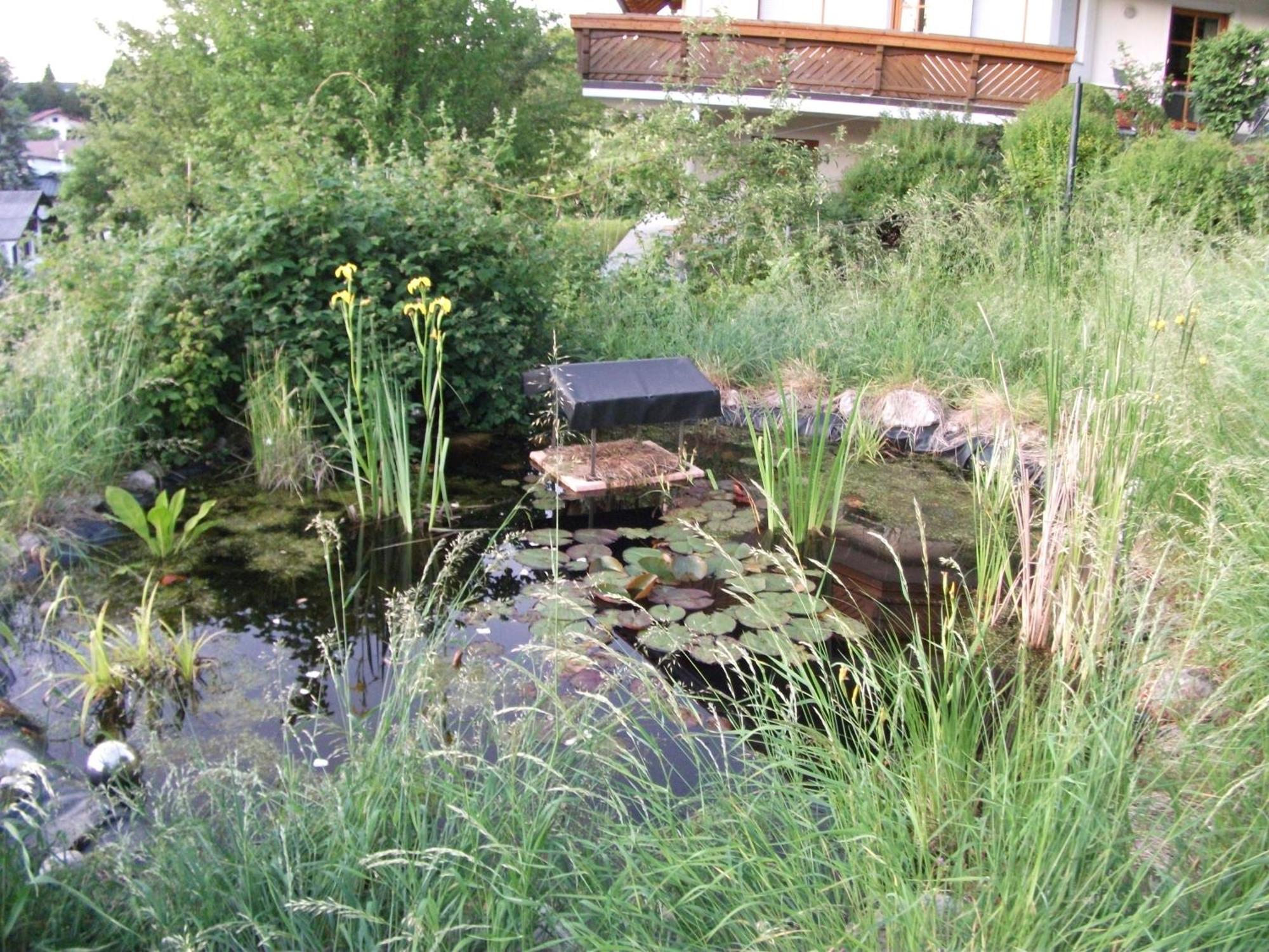 Ferienwohnung Krottensee Gmunden Extérieur photo